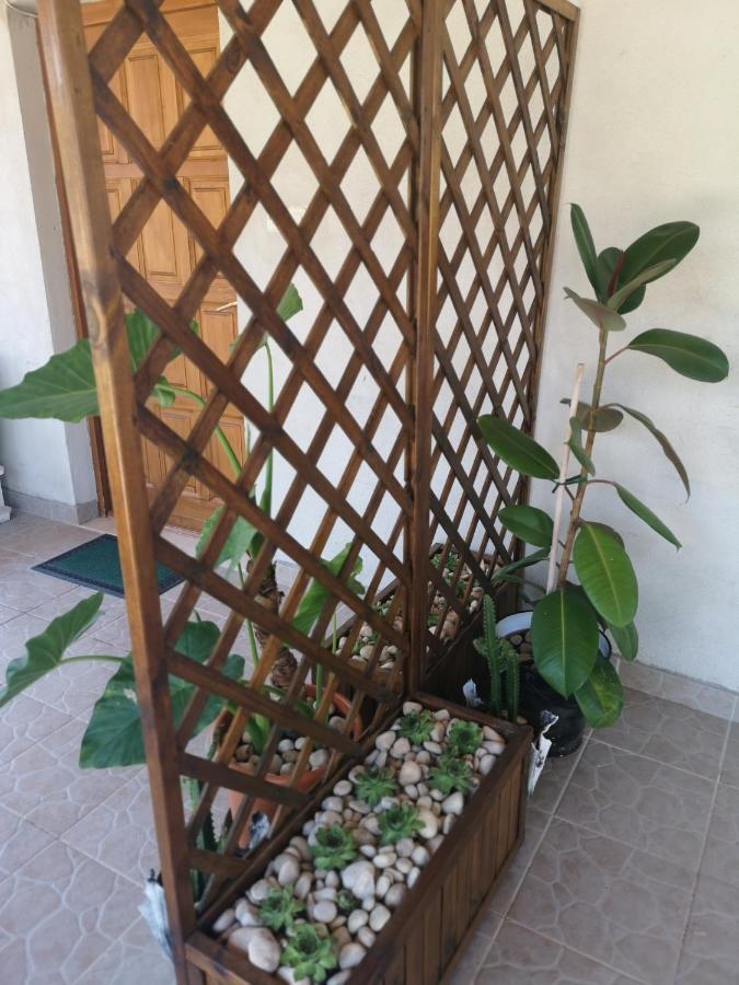Country House Peace Drinovci المظهر الخارجي الصورة