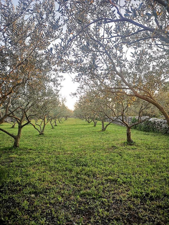 Country House Peace Drinovci المظهر الخارجي الصورة